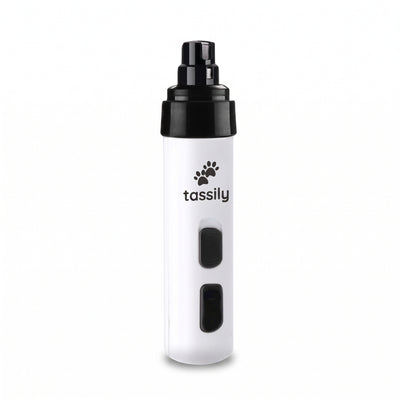 Tassily